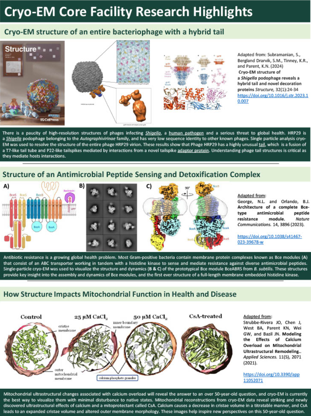 research highlights